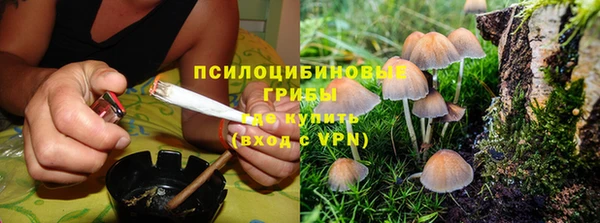 кокс Алексин